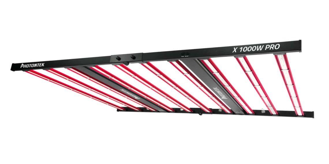 Descubre el producto más innovador en servicios y productos digitales