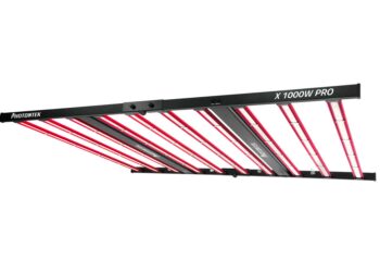 Descubre el producto más innovador en servicios y productos digitales