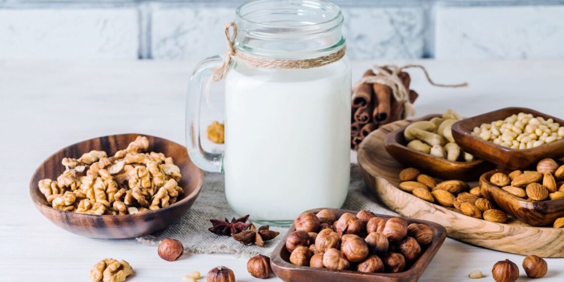 Leches vegetales: la opción saludable para una vida equilibrada