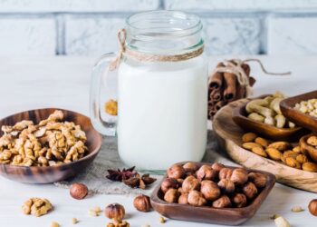 Leches vegetales: la opción saludable para una vida equilibrada