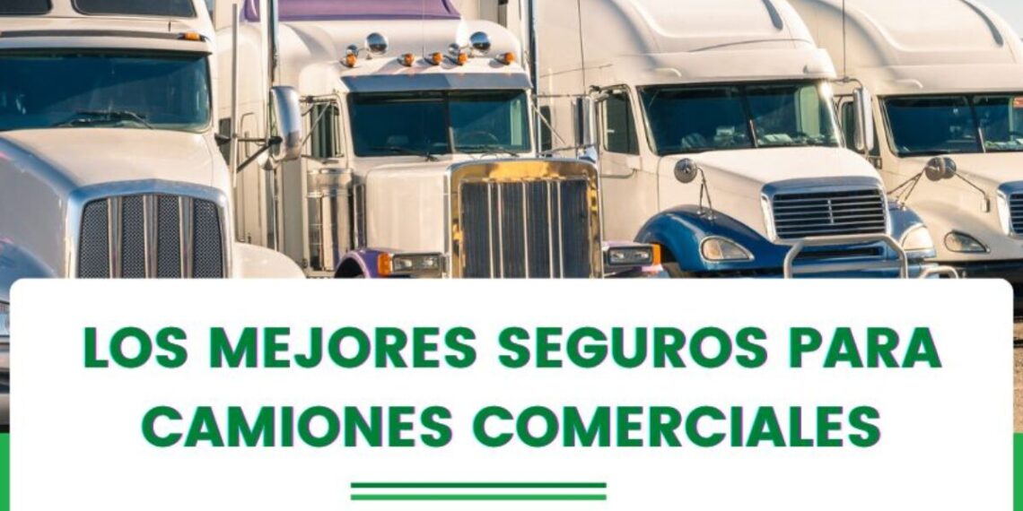 Prioriza la seguridad: Clave al elegir un vehículo eléctrico