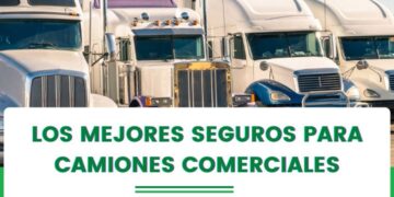 Prioriza la seguridad: Clave al elegir un vehículo eléctrico